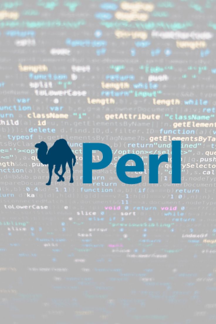 متخصص PERL برای توسعه WEB 